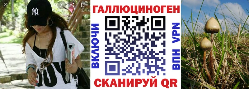 Псилоцибиновые грибы мицелий гидра ТОР Кореновск