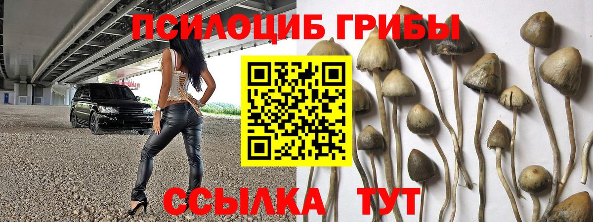 Галлюциногенные грибы Magic Shrooms Кореновск