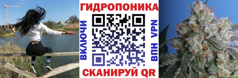 Марихуана сатива Кореновск